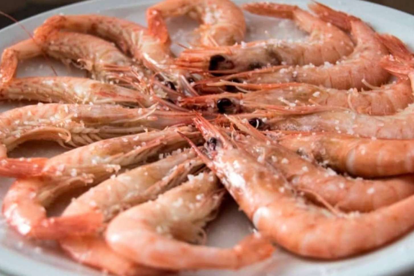 Lonja de Ayamonte indica qué diferencia a la gamba blanca de Huelva
