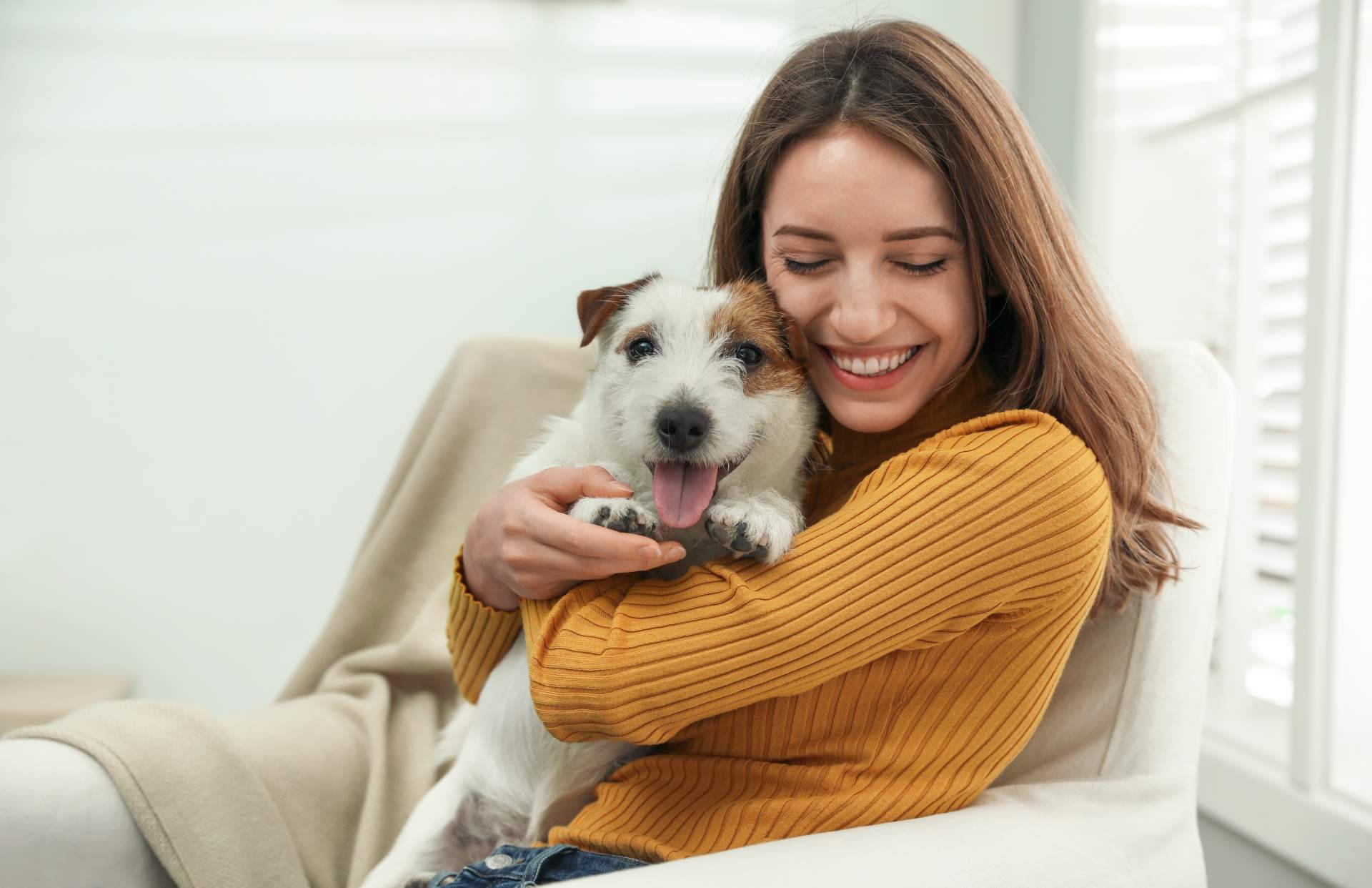 La ansiedad en perros y problemas de comportamiento, por Mooiza Zen