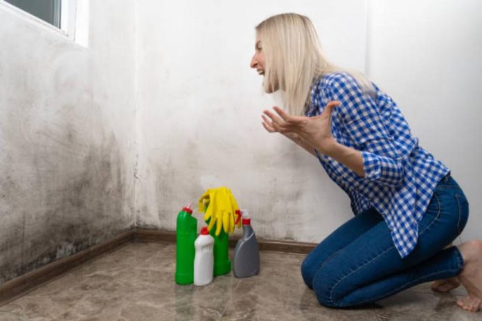El truco infalible para eliminar la humedad de las paredes