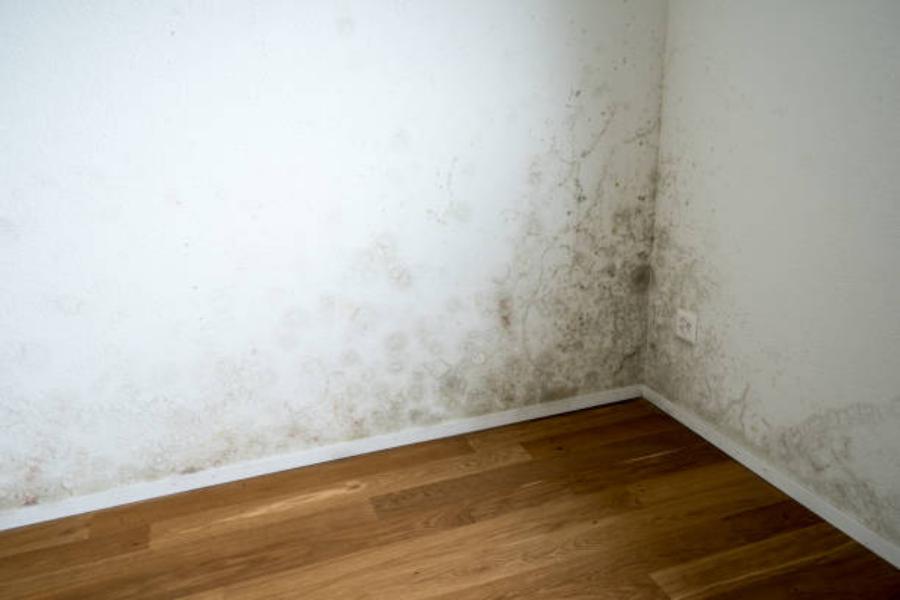 No cubrir la humedad con muebles