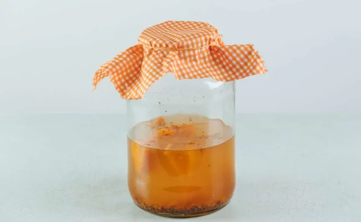 kombucha Merca2.es