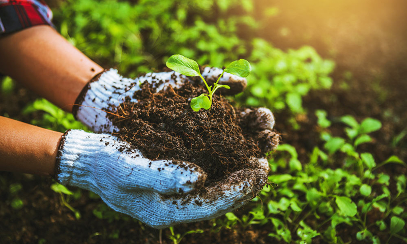 La agricultura, imprescindible para la humanidad