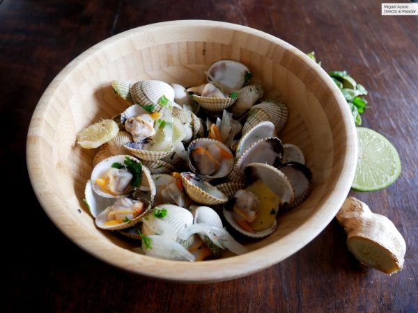 Comienza la preparación