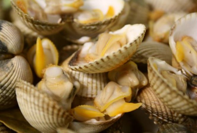 ¿Cómo sabré cuándo están listos?