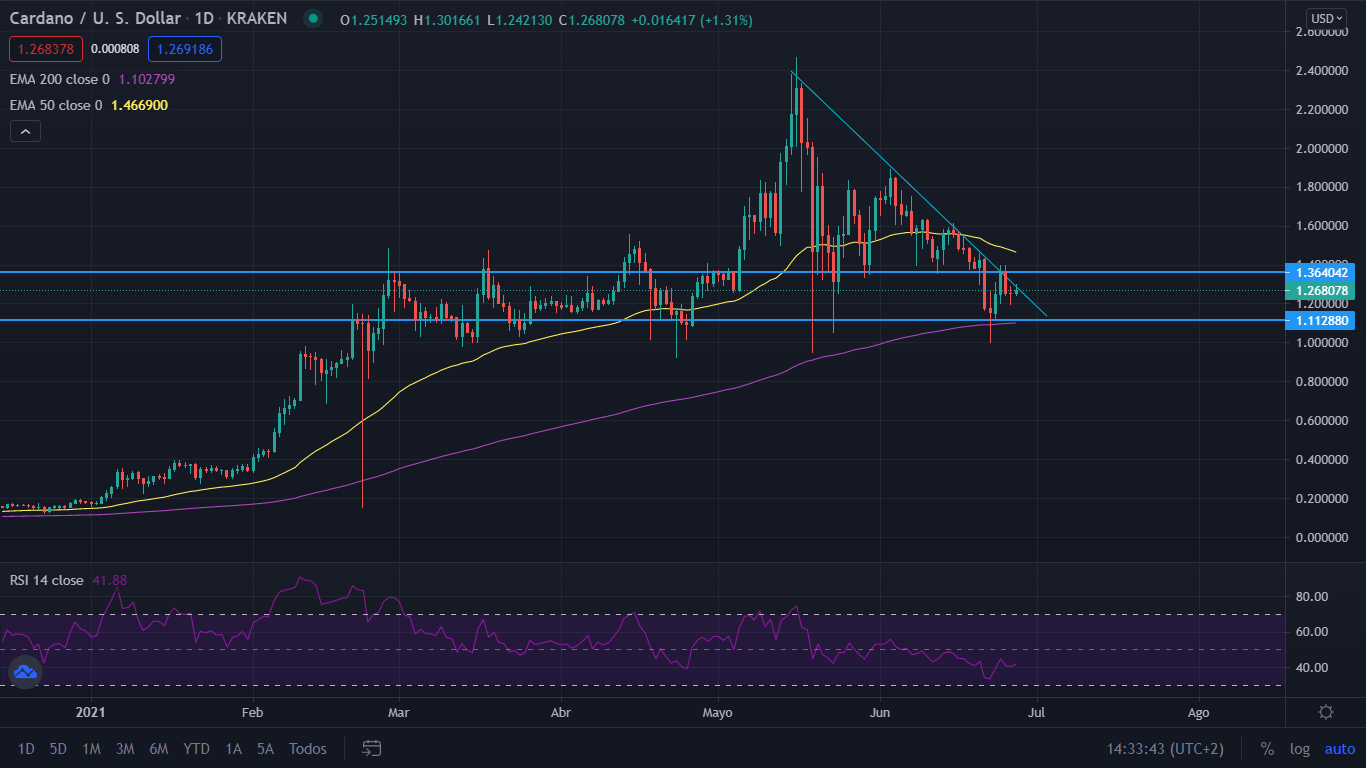 cardano Merca2.es