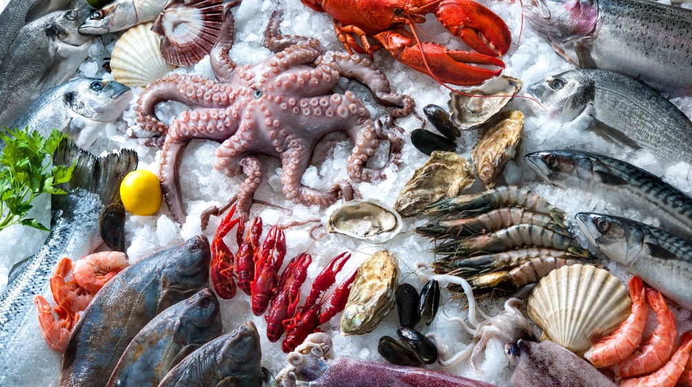 La guía definitiva para hacer marisco de matrícula sin saber cocinar mariscos