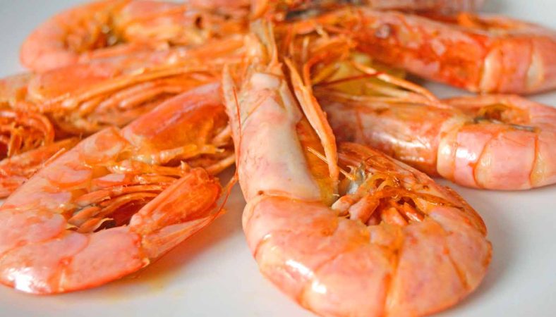 Gamba