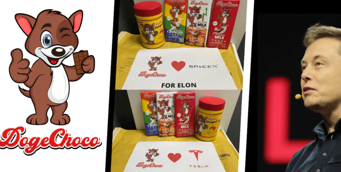 Dogechoco llegó a la base de Elon Musk