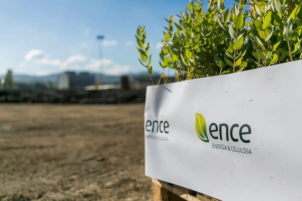 Ence valoriza más 1,5 millones de toneladas de biomasa por un importe de 60 millones
