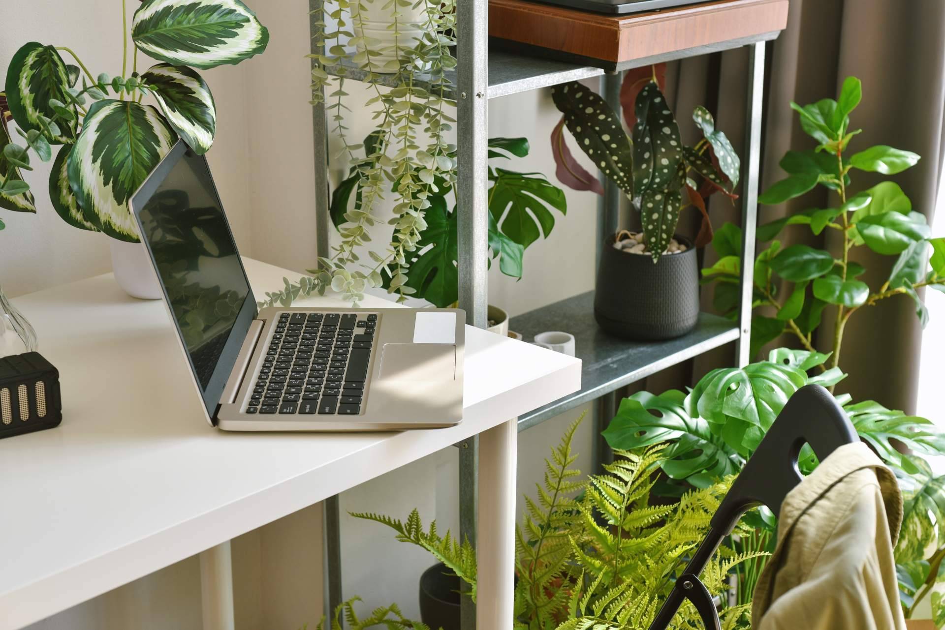 ¿Por qué escoger un jardín vertical artificial?, la última tendencia por JardínVertical.es