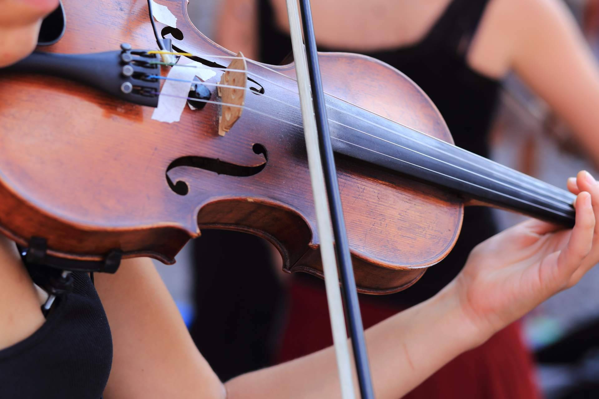 Asistir a clases de violín online adaptadas a los gustos y nivel del estudiante, de la mano de Erizo