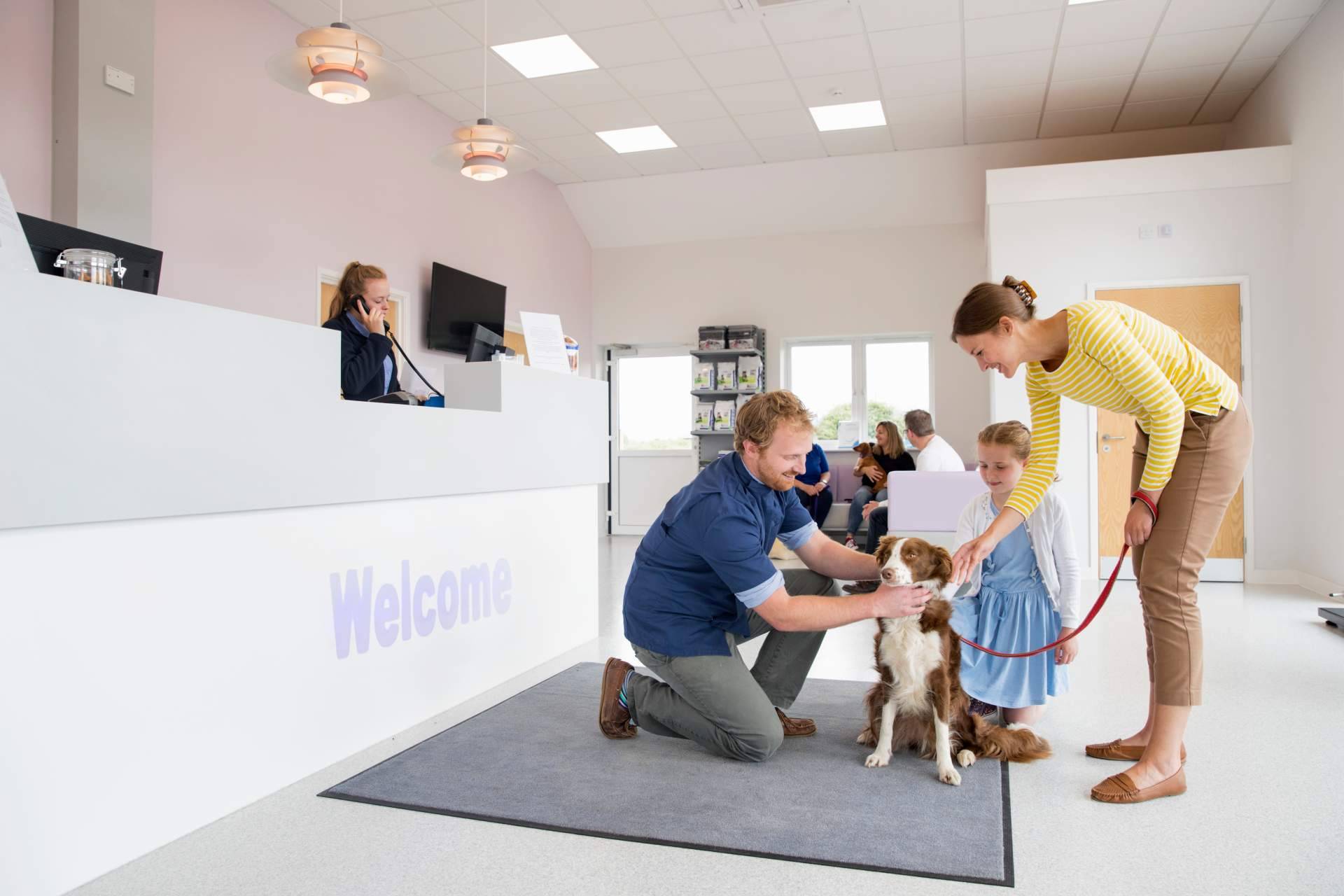 Miwuki Pet Shelter destaca los puntos principales de la nueva ley de protección animal