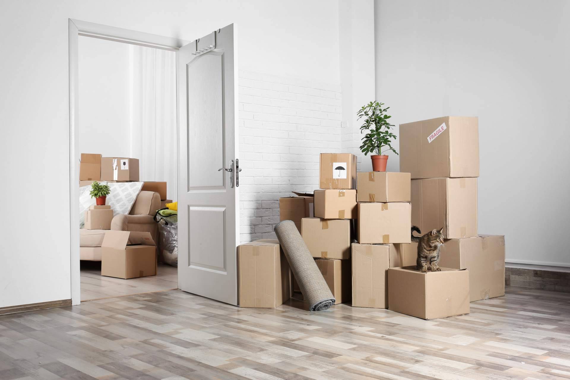 Mudanzas Carrera ofrece grupajes de muebles y enseres personales