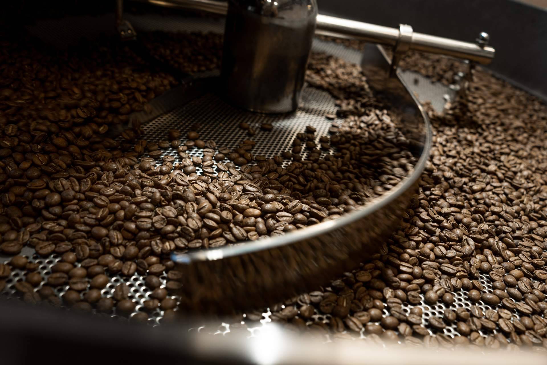 ¿Cómo distinguir un buen café de especialidad?