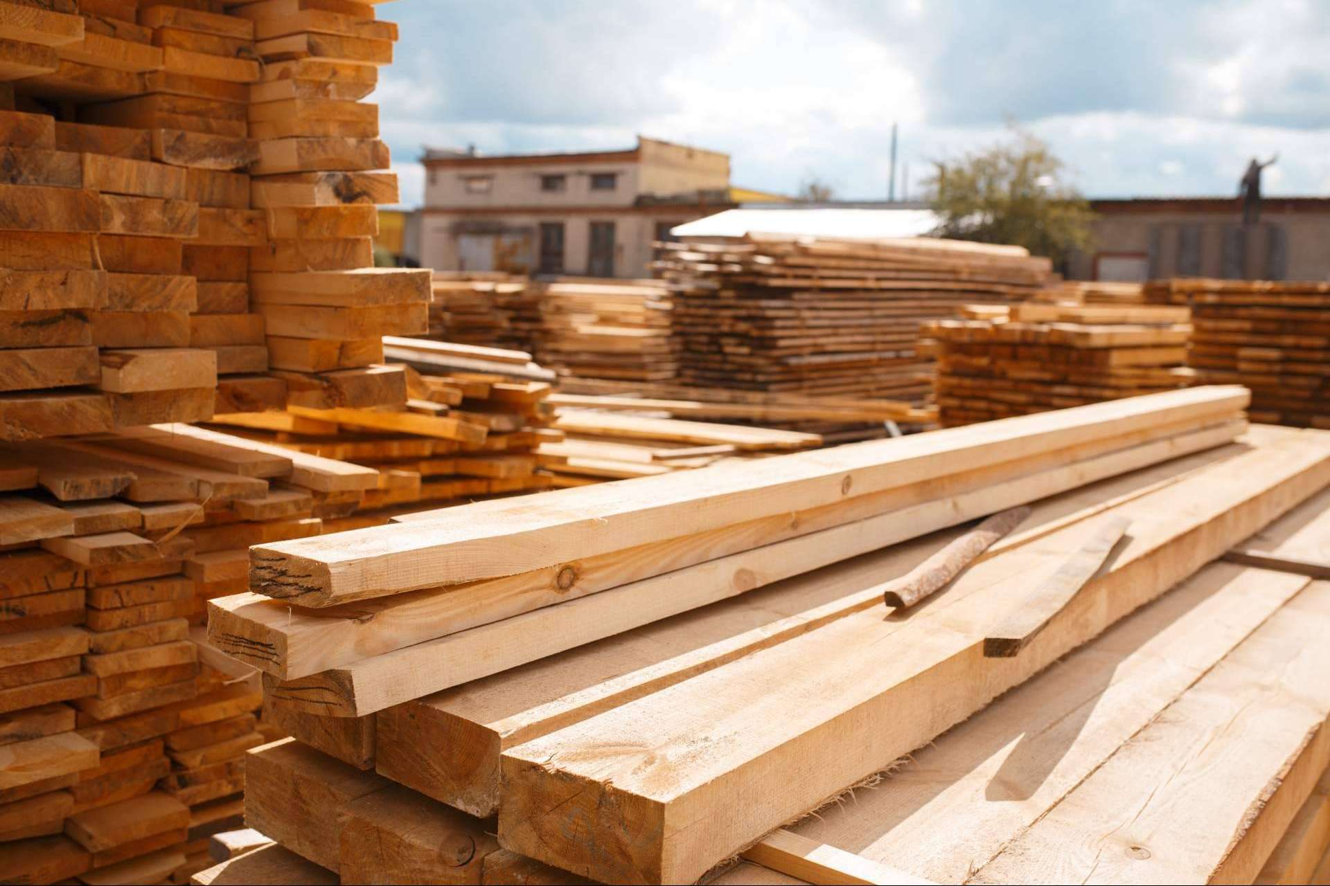Por qué la madera es un material ecofriendly, por Maderas Gámez