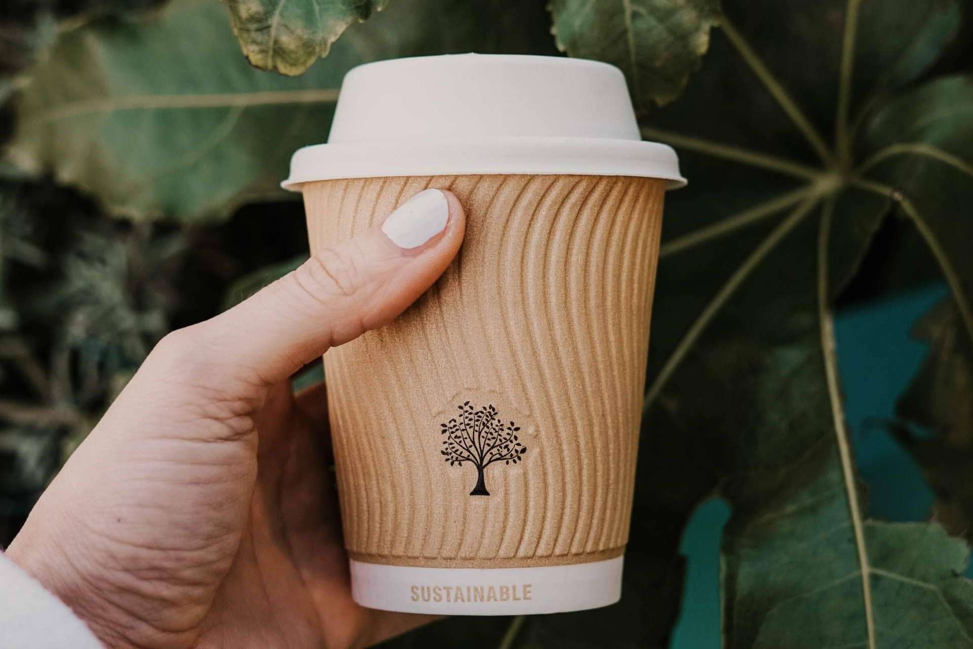Tomarse un respiro con los vasos de cartón para café de la firma Punto Qpack