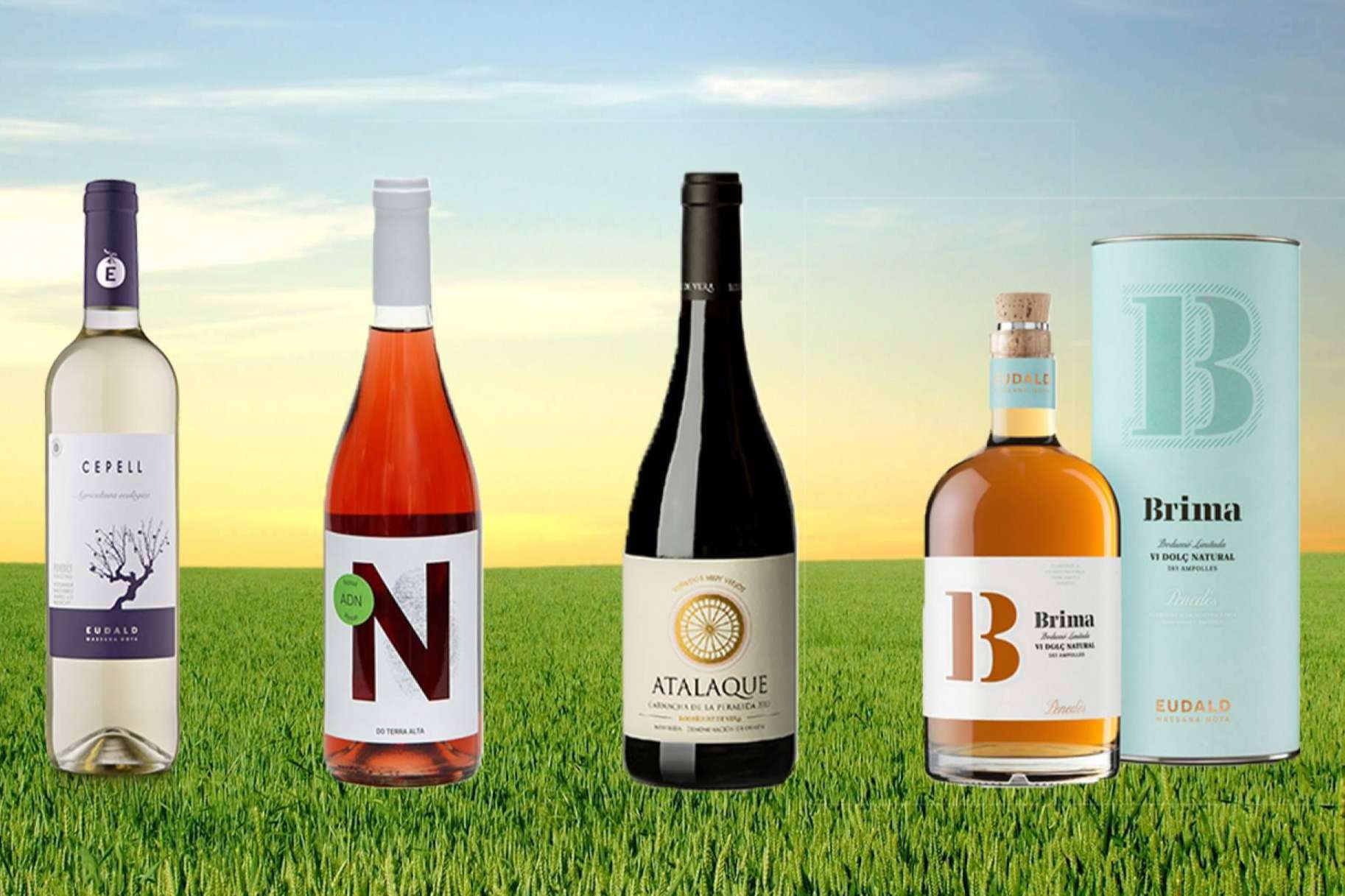 La selección de vinos Caldeu, elaboración de calidad y proximidad