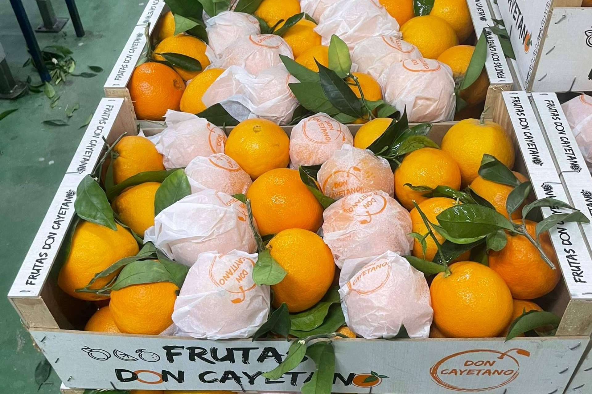 La creciente expansión de la empresa española Frutas Don Cayetano