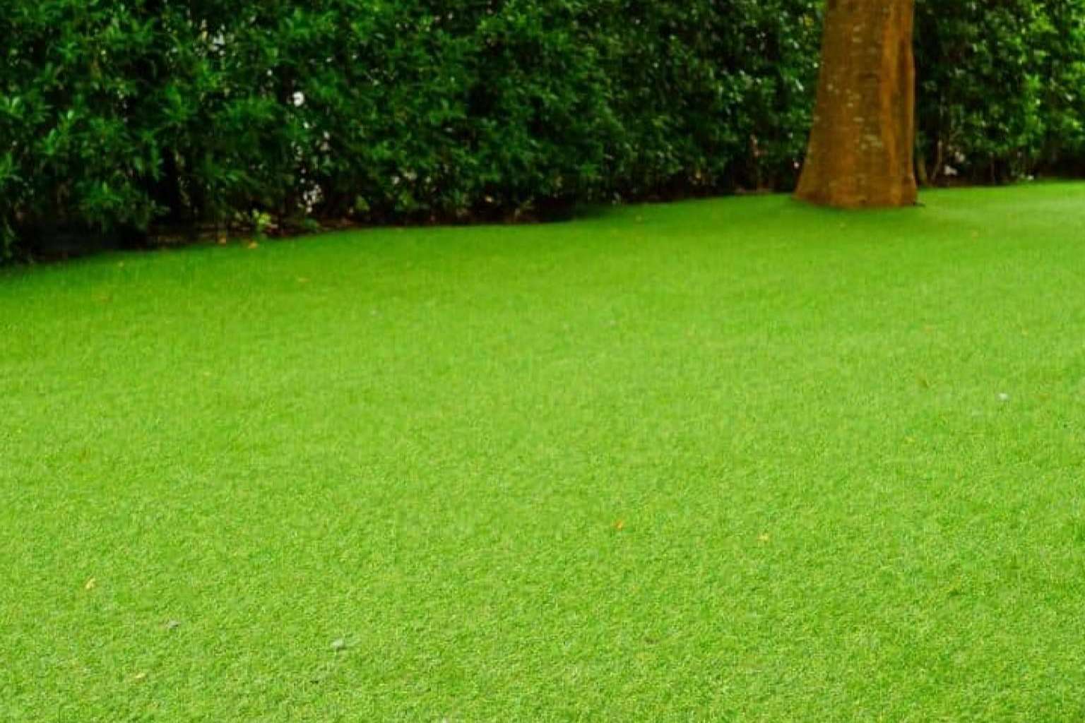 Albergrass, productores y fabricantes de césped artificial