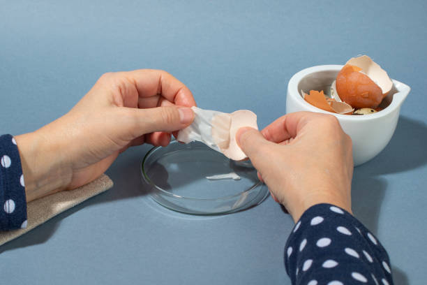 Cómo limpiar las cáscaras de huevo antes de usarlas