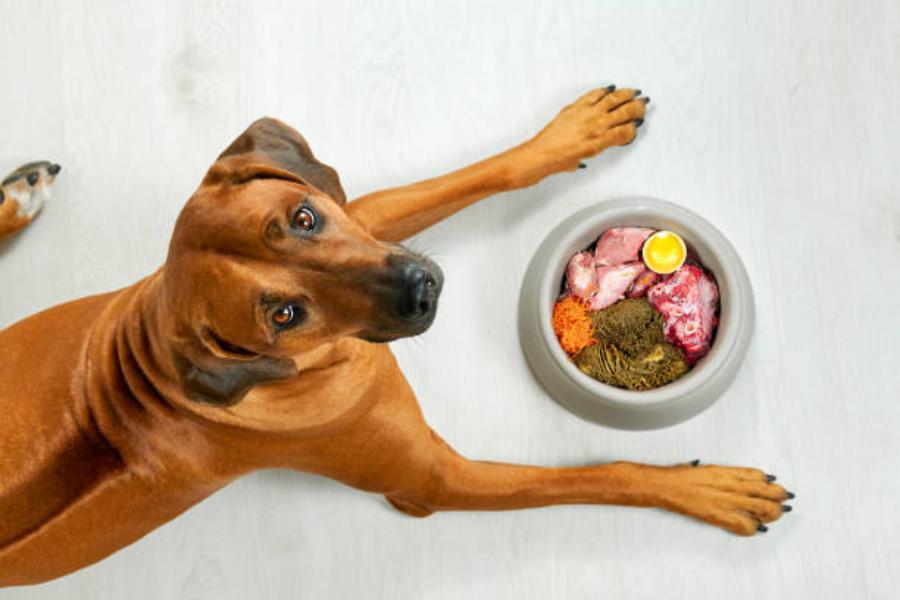 Tener una alimentación natural