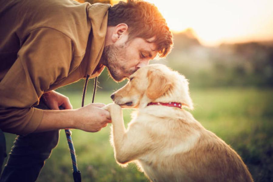 El truco natural para que tu perro viva más años