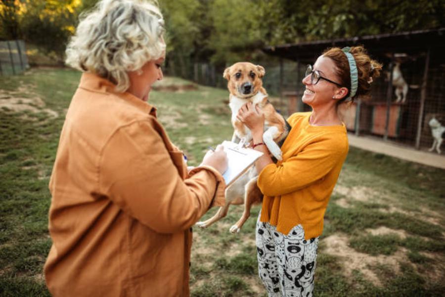 Realizar visitas regulares a tu veterinario