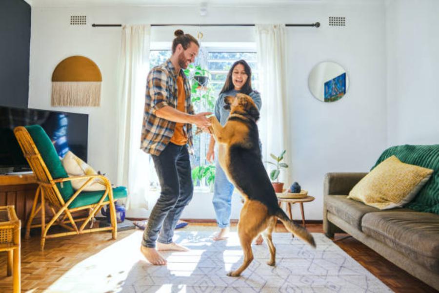Procura un ambiente limpio y positivo
