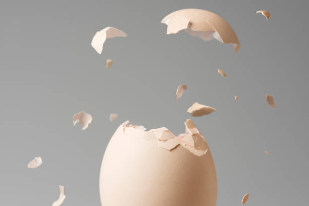 Los motivos por los que no debes tirar la cáscara del huevo