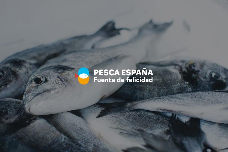 Pesca España crece con la incorporación de nuevas organizaciones nacionales de Vizcaya, Almería y Huelva