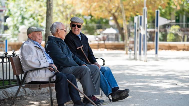Ingreso Mínimo y pensiones no contributivas