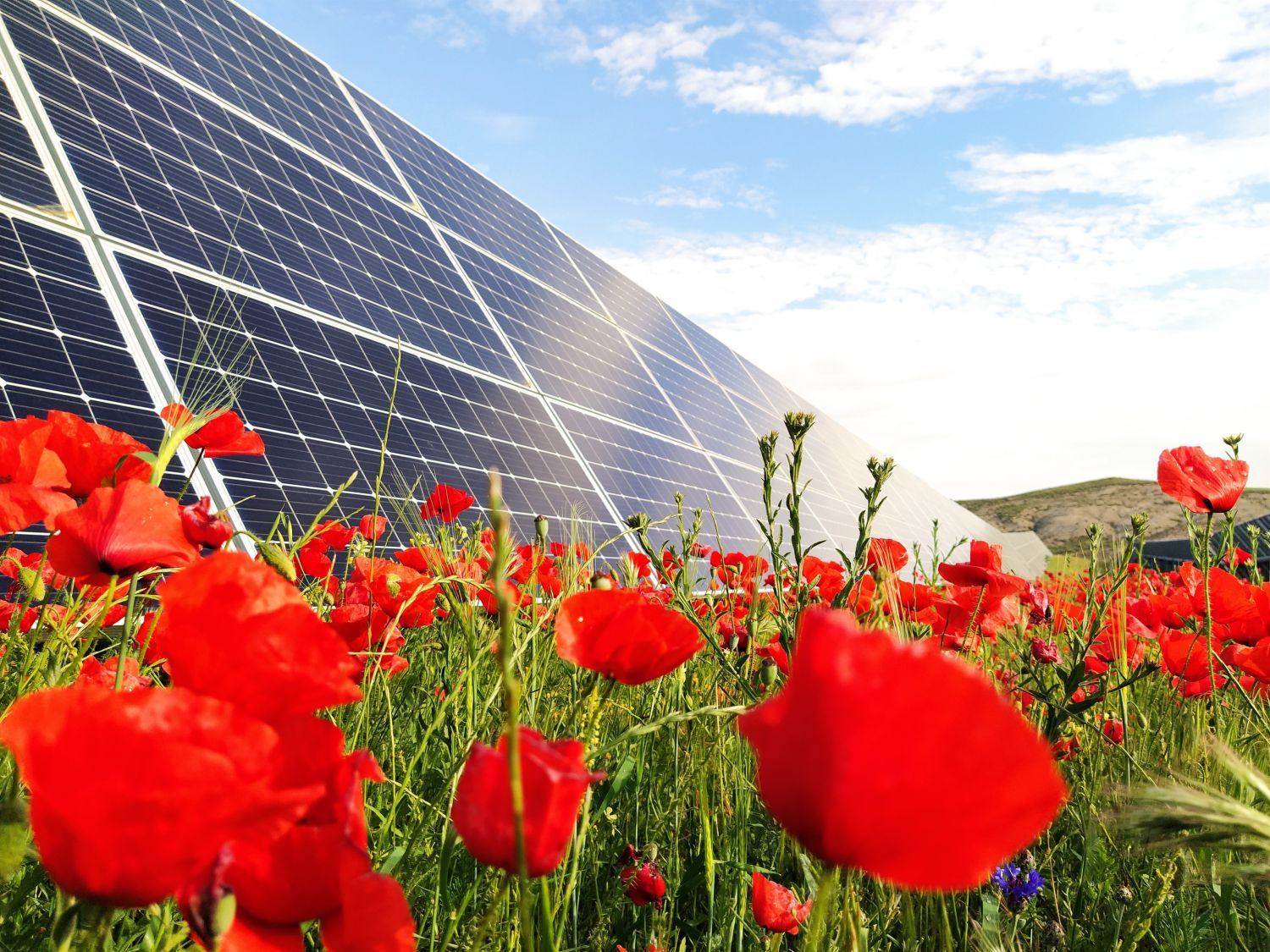 Naturgy y Solaria tienen luz verde para sumar 5.285 MW renovables más a España