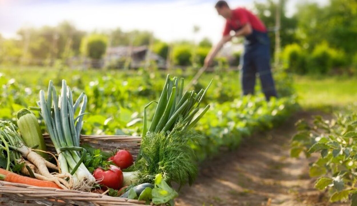 La importancia de la agricultura sostenible en 7 datos que no conocías
