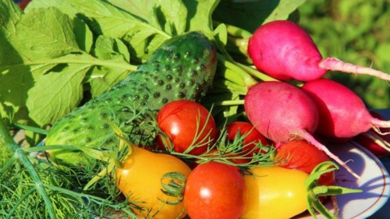 verduras obesidad