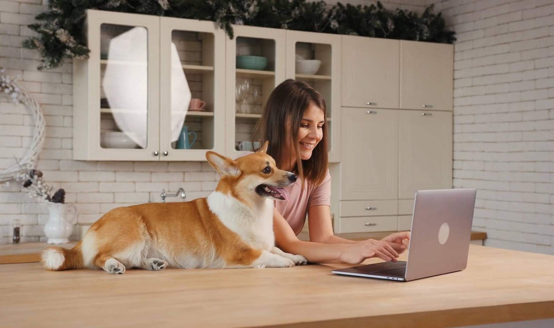 Según Wolves Legacy, ‘Buscamos una agencia de marketing con experiencia y completa, y la encontramos’