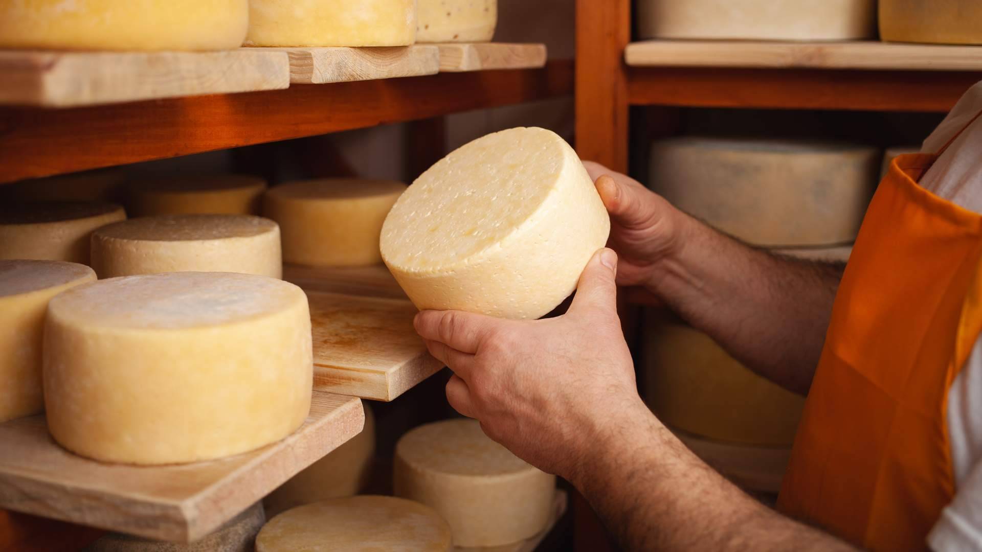 Sabores de Tallante, una quesería artesana española premiada por sus quesos de cabra artesanos