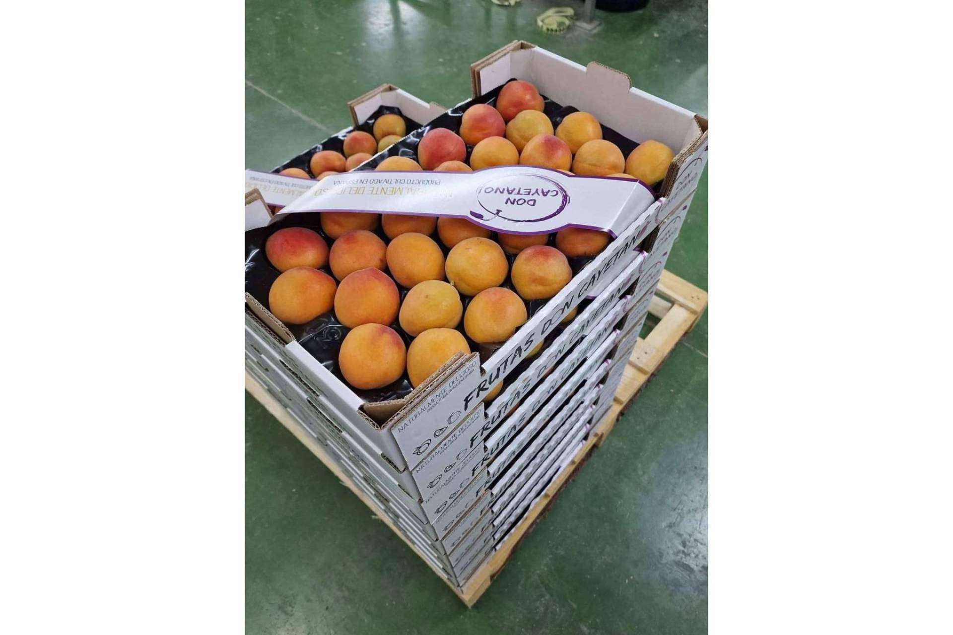 Frutas Don Cayetano, la compañía experta en la exportación de frutas de hueso y cítricos