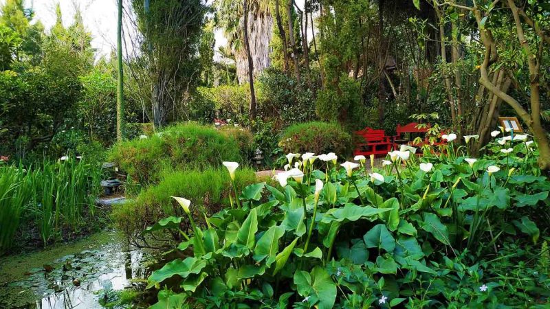  jardines para preservar la biodiversidad
