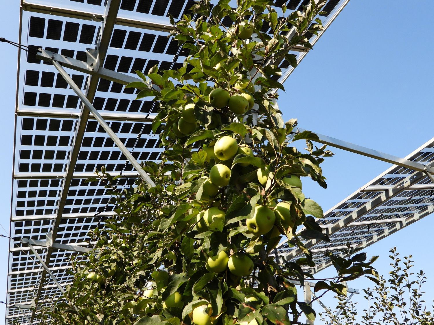 BayWa r.e. desarrollará dos parques solares para Velux en Andalucía en 2023