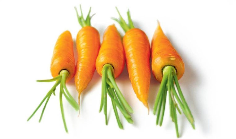 Zanahorias  