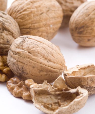 Frutos secos