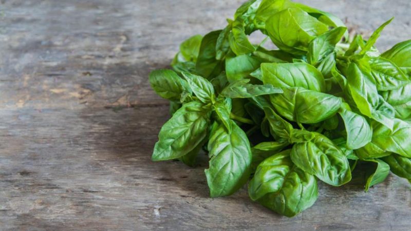 Provechosa para el sistema digestivo