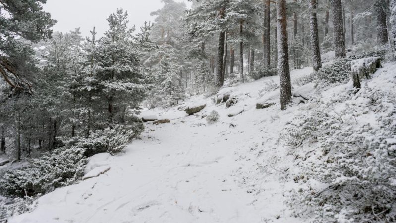 Navacerrada es uno de los pueblos de la Sierra de Madrid