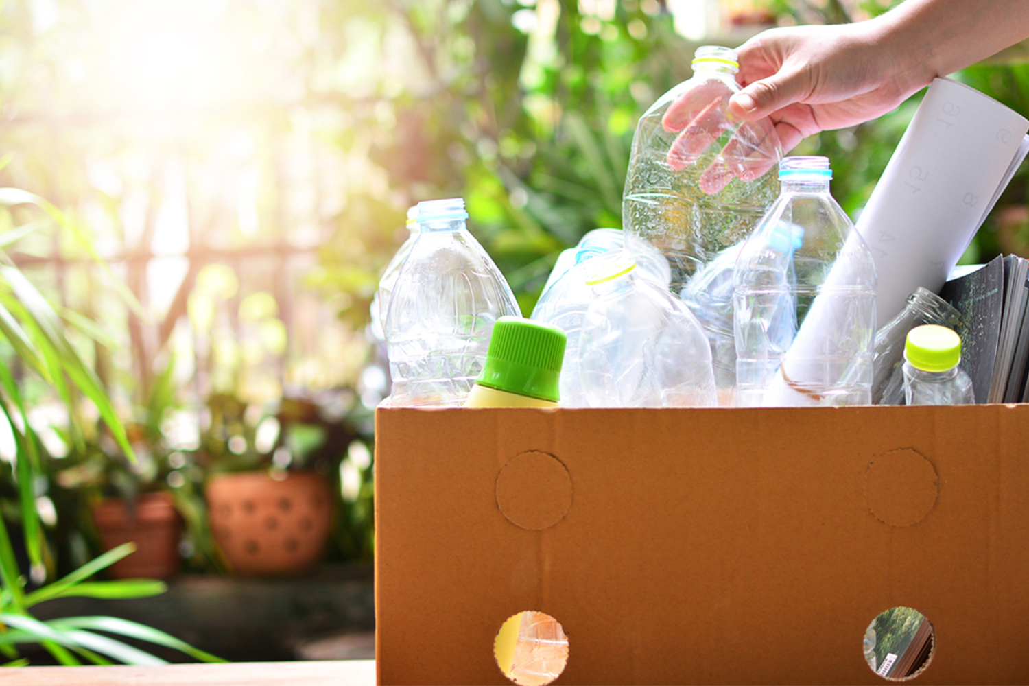 Reducir el uso de productos de plástico para un hogar más ecológico