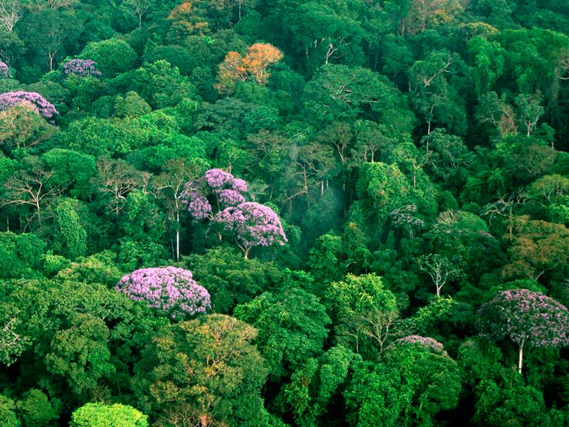 Áreas protegidas nacionales para la conservación de la biodiversidad