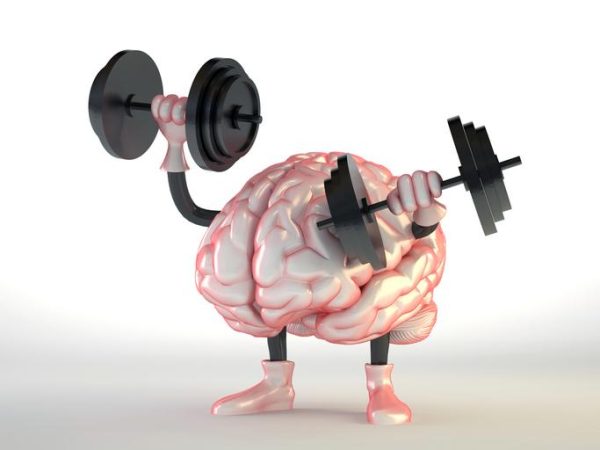 cerebro Merca2.es