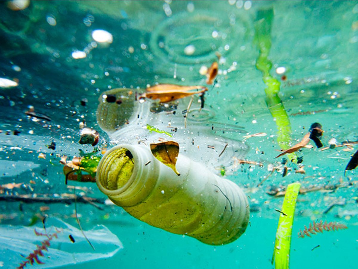 Contaminación del agua 