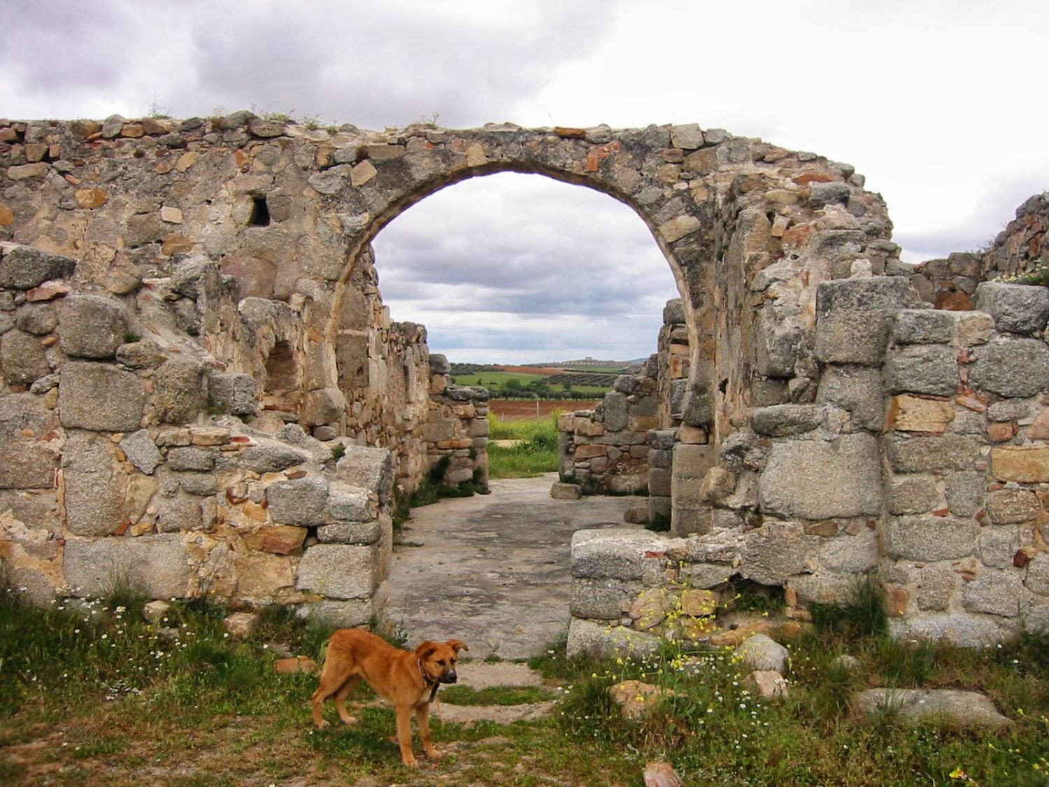 La Iglesia de San Pedro de la Mata destaca por su decoración milenaria