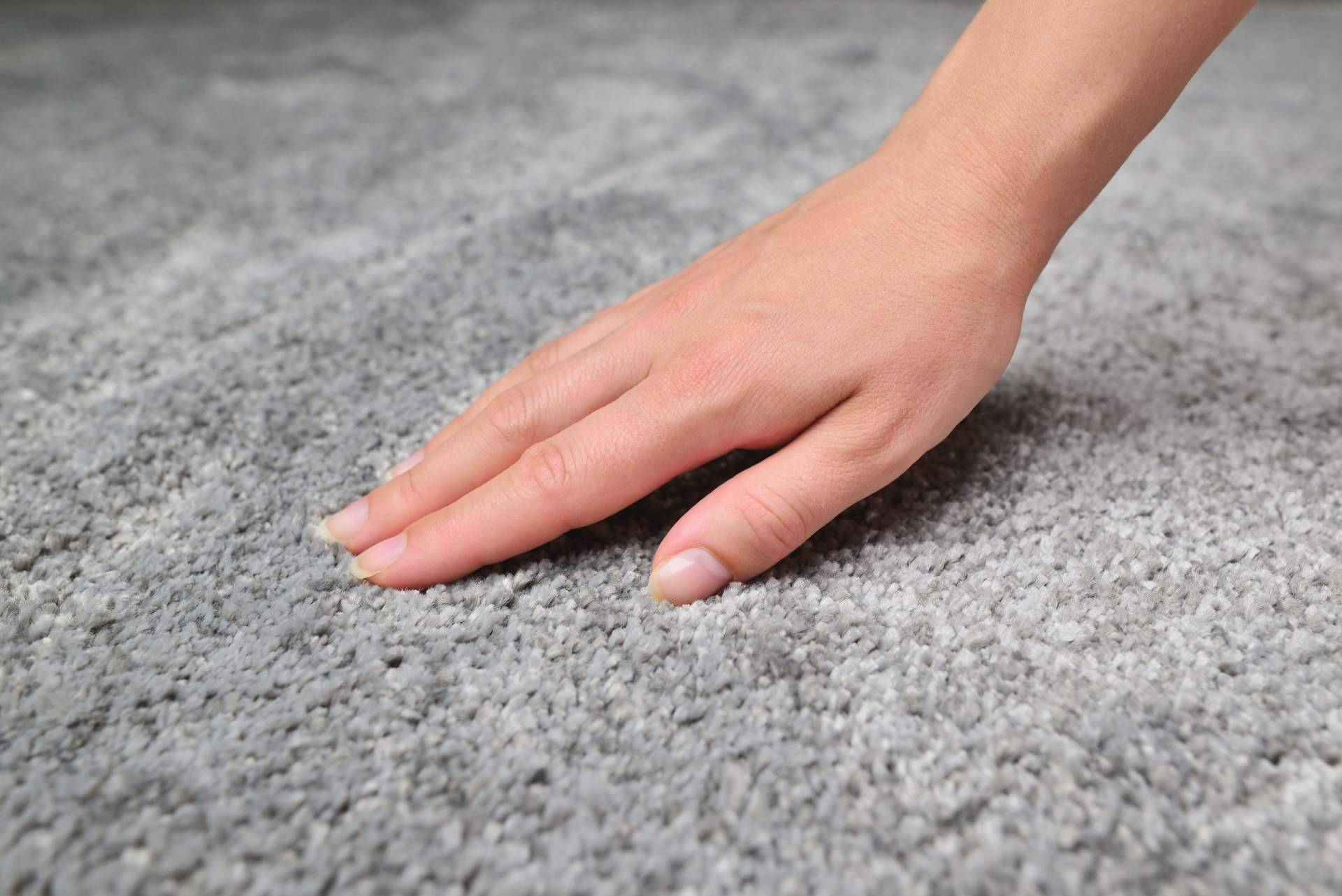 ¿Por qué es importante acudir a profesionales a la hora de limpiar alfombras?, por Washrocks