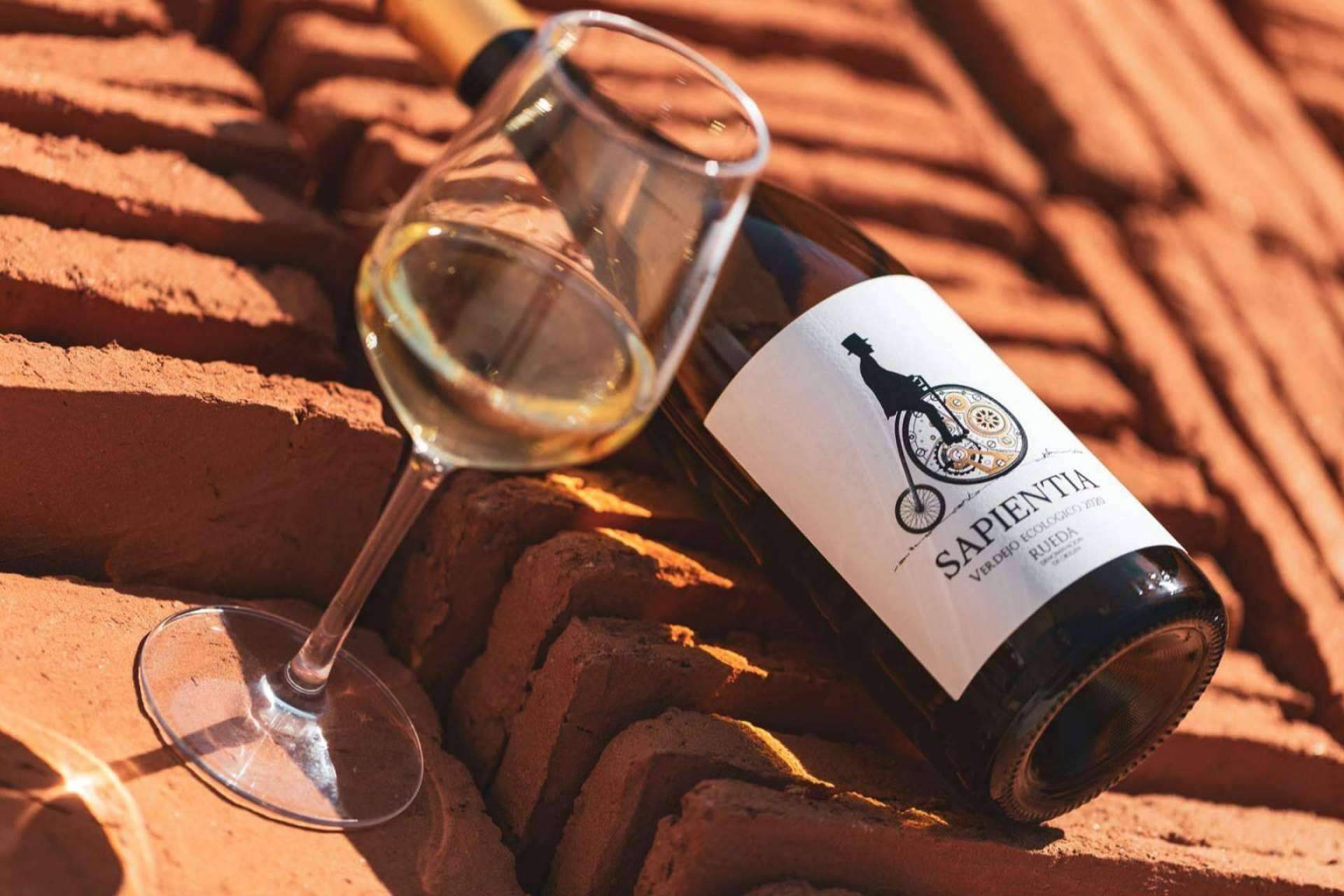 Producción de vinos ecológicos en España de la mano de El Lagar de Moha